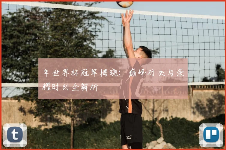 年世界杯冠军揭晓：巅峰对决与荣耀时刻全解析