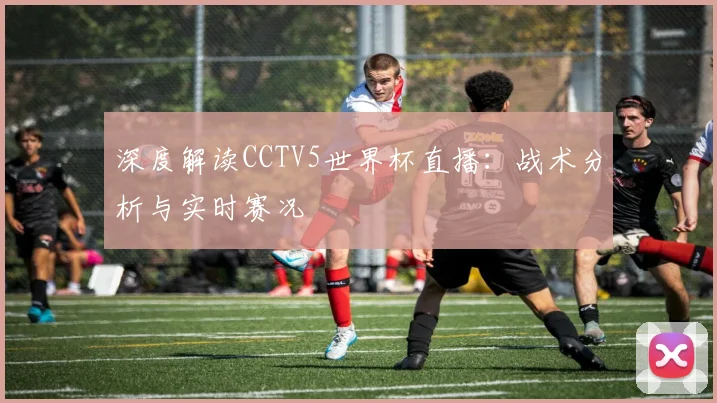 深度解读CCTV5世界杯直播：战术分析与实时赛况