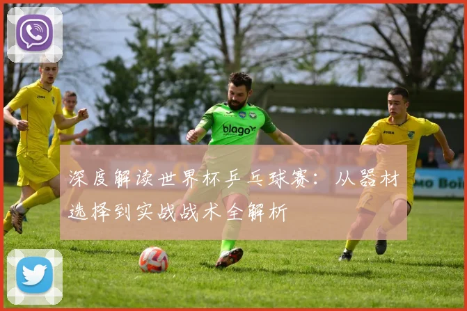 深度解读世界杯乒乓球赛：从器材选择到实战战术全解析