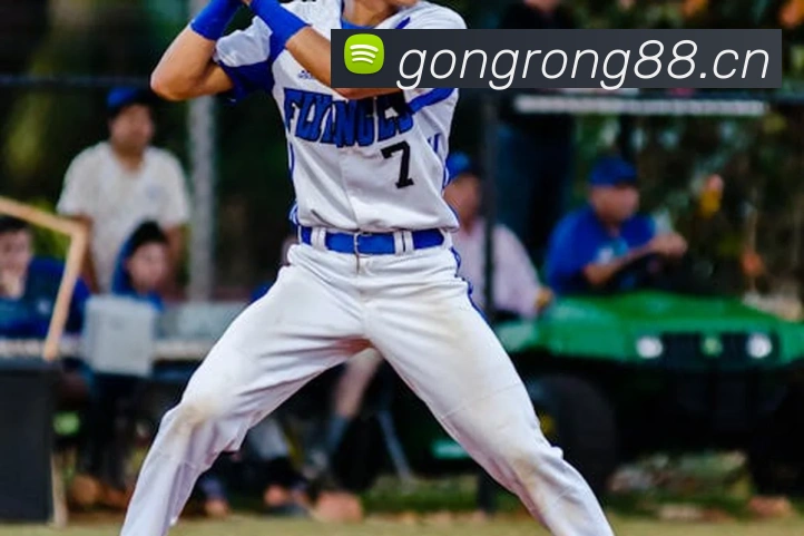 App Interface Preview