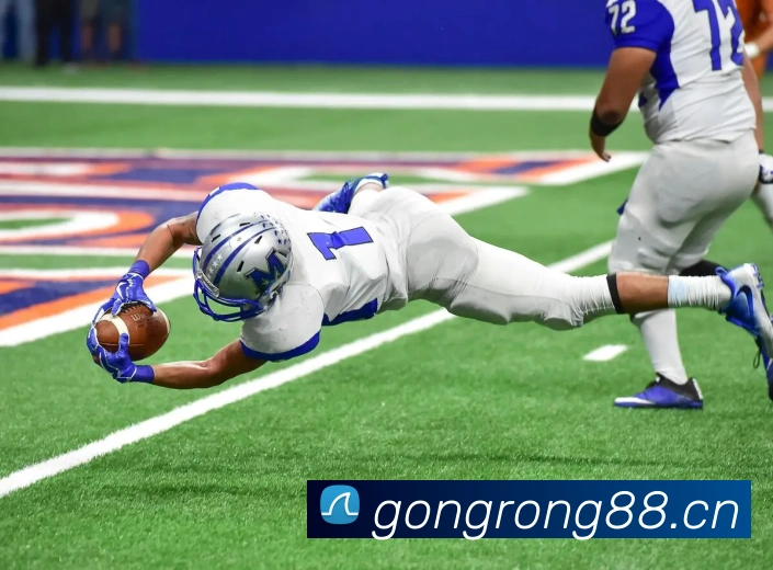 星空体育首页APP 封面图